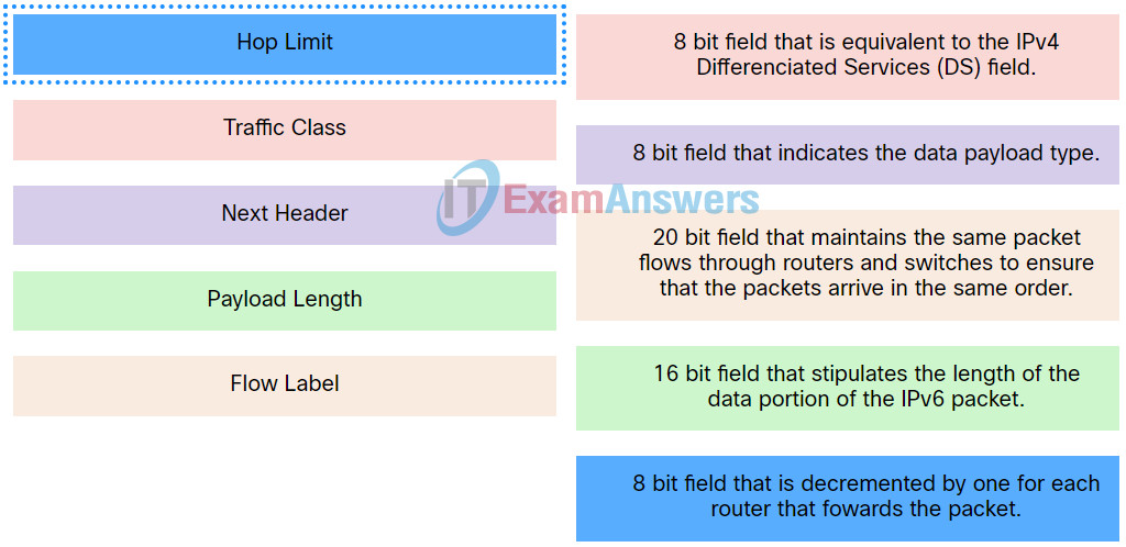 Networking Devices and Initial Configuration Course Final Exam Answers 2