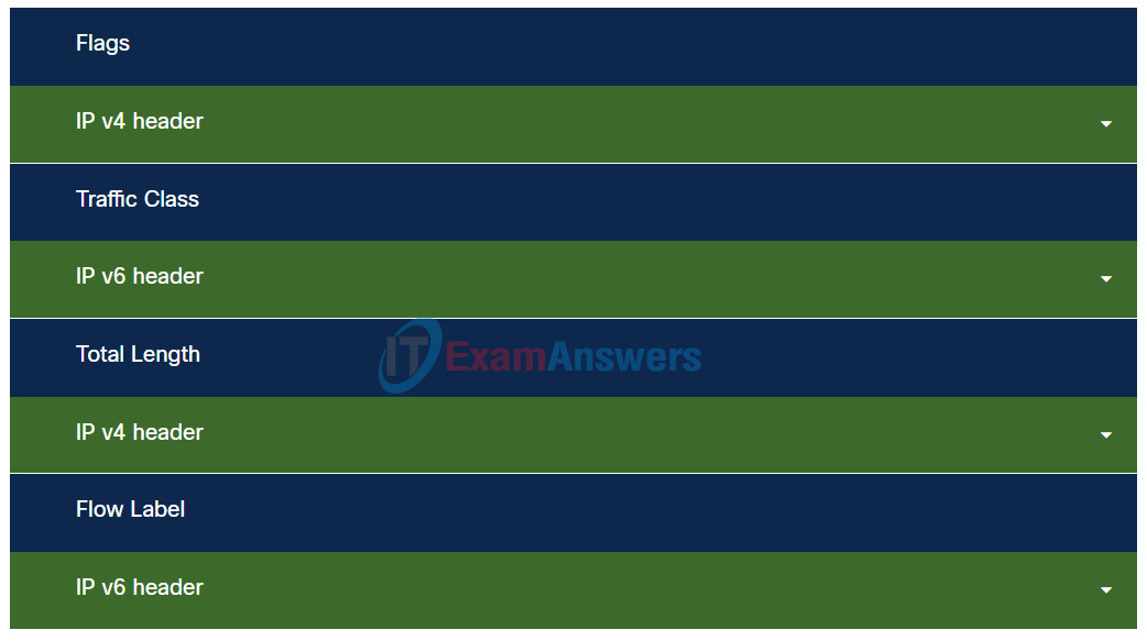 Networking Devices and Initial Configuration Course Final Exam Answers 3