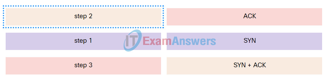 Networking Devices and Initial Configuration Course Final Exam Answers 4
