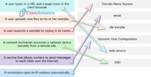 Networking Basics Course Final Exam Answers