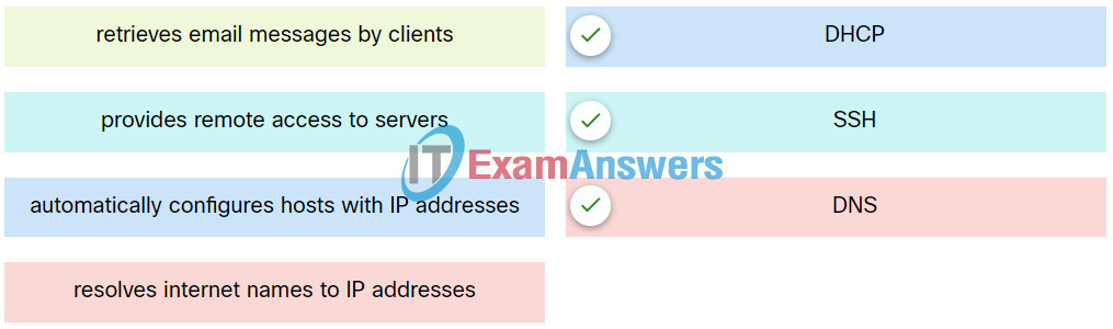 16.8.3 Application Layer Services Quiz Answers 1