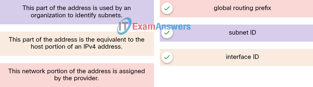 Checkpoint Exam: IP Addressing Answers 2