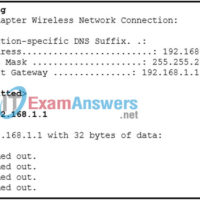 Module 20 - Troubleshoot Common Network Problems Quiz Answers 1