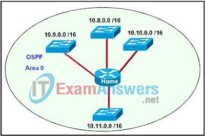 CCNA Discovery 3: DRSEnt Chapter 6 Exam Answers v4.0 19