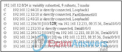 CCNA Discovery 3: DRSEnt Chapter 6 Exam Answers v4.0 23