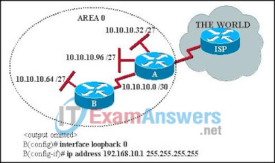 CCNA Discovery 3: DRSEnt Chapter 6 Exam Answers v4.0 24