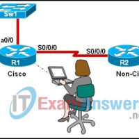 CCNA Discovery 3: DRSEnt Chapter 7 Exam Answers v4.0 1