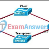 CCNA Discovery 3: DRSEnt Chapter 3 Exam Answers v4.0 1