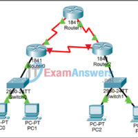 6.6.4 Packet Tracer - Trace and Time To Live Answers 9