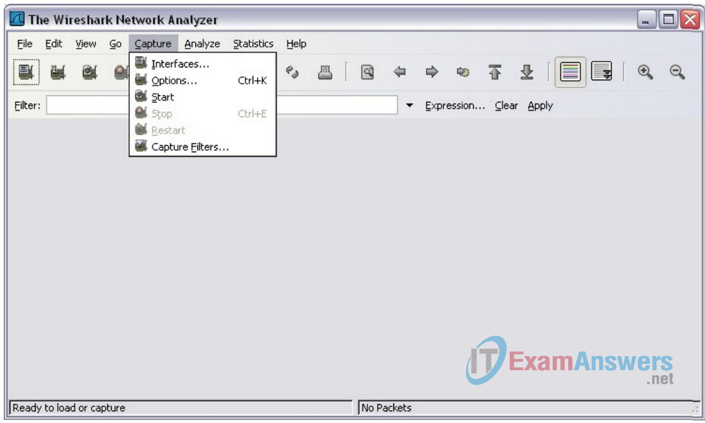 Lab 2.6.2 - Using Wireshark™ to View Protocol Data Units (Answers) 13