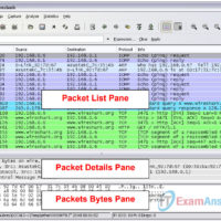 Lab 2.6.2 - Using Wireshark™ to View Protocol Data Units (Answers) 15
