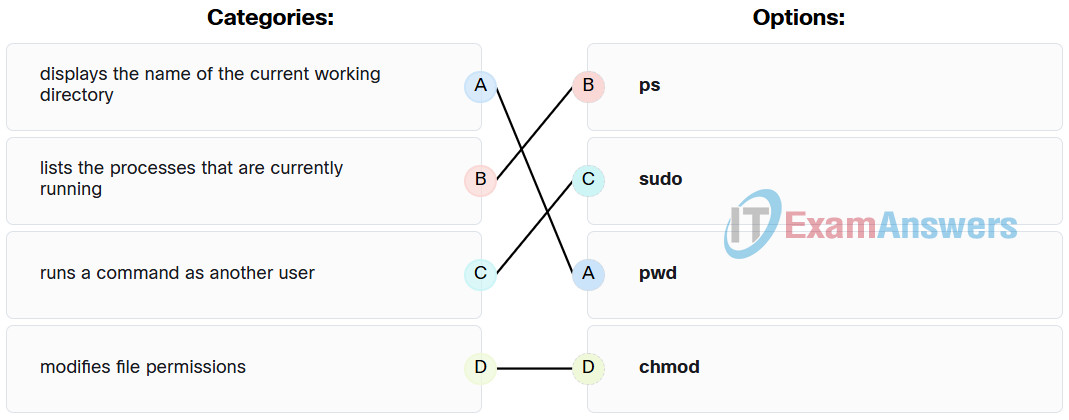 OS and Endpoint Security Checkpoint Exam Answers 1